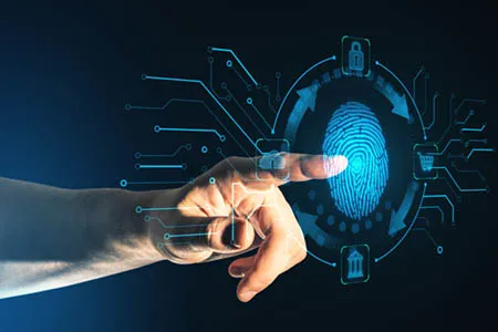 Digital Fingerprint and Website Restoration